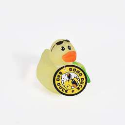 Pool Duck